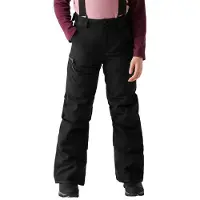 Dare 2b Pow Ii Broek