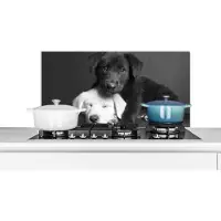 KitchenYeah Spatscherm keuken 80x40 cm - Kookplaat achterwand Honden - Puppy - Zwart - Wit - Dieren - Muurbeschermer - Spatwand fornuis - Hoogwaardig aluminium