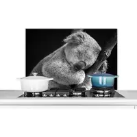 KitchenYeah Spatscherm keuken 80x55 cm - Kookplaat achterwand Slapende koala op zwarte achtergrond in zwart-wit - Muurbeschermer - Spatwand fornuis - Hoogwaardig aluminium
