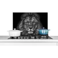KitchenYeah Spatscherm keuken 70x50 cm - Kookplaat achterwand Leeuw - Dieren - Zwart - Wit - Muurbeschermer - Spatwand fornuis - Hoogwaardig aluminium