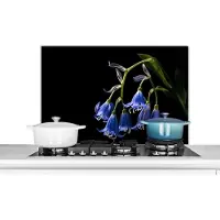 KitchenYeah Spatscherm keuken 80x55 cm - Kookplaat achterwand Hyacint - Bloemen - Blauw - Natuur - Zwart - Muurbeschermer - Spatwand fornuis - Hoogwaardig aluminium