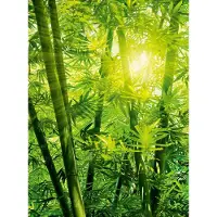 A.S. Création Fotobehang Bamboo Forest DD119095 Designwalls Zwart Antraciet Vlies 192 X 260 cm (4 delen) Fotobehang