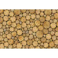 A.S. Création Fotobehang Logs DD118975 Designwalls Beige Creme Vlies 384 X 260 cm (8 delen) Fotobehang