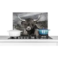 KitchenYeah Spatscherm keuken 60x40 cm - Kookplaat achterwand Schotse Hooglander - Dieren - Hoorns - Muurbeschermer - Spatwand fornuis - Hoogwaardig aluminium