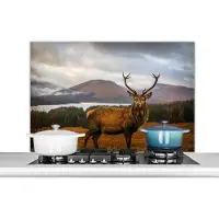 KitchenYeah Spatscherm keuken 100x65 cm - Kookplaat achterwand Hert - Berg - Water - Landschap - Dieren - Bomen - Muurbeschermer - Spatwand fornuis - Hoogwaardig aluminium