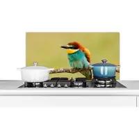 KitchenYeah Spatscherm keuken 80x40 cm - Kookplaat achterwand Vogel - Bijeneter - Dieren - Muurbeschermer - Spatwand fornuis - Hoogwaardig aluminium