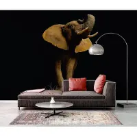 A.S. Création Fotobehang ElephantFont DD114672 XXL 5 | Fotobehang online webshop