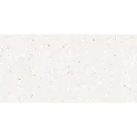 Valence Technology Orizz vloertegel bianco mat 60x120cm wit terrazzo