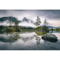 A.S. Création Fotobehang Foggy Day DD119023 Designwalls Kleurrijk Vlies 384 X 260 cm (8 delen) Fotobehang online webshop