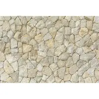 A.S. Création Fotobehang Natural Stone Wall II DD118981 Designwalls Bruin Vlies 384 X 260 cm (8 delen) Goedkoop fotobehang