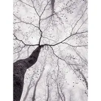 A.S. Création Fotobehang Inside the Trees DD119104 Designwalls Roze Vlies 192 X 260 cm (4 delen) Fotobehang