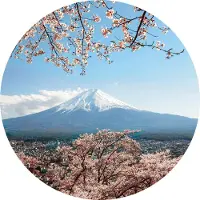 A.S. Création Fotobehang Mount Fuji in Japan DD119200 Designwalls Groen Vlies 140 x 140 cm (3 delen) 3D Fotobehang
