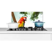 KitchenYeah Spatscherm keuken 60x30 cm - Kookplaat achterwand Papegaai - Vogel - Regenboog - Tropical - Muurbeschermer - Spatwand fornuis - Hoogwaardig aluminium