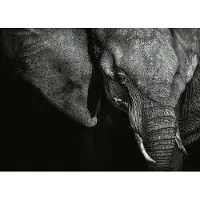 A.S. Création Fotobehang Beautiful Elephant DD118920 Designwalls Groen Vlies 384 X 260 cm (8 delen) 3D Fotobehang