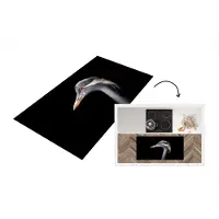 KitchenYeah Keukenloper - Loper keuken - Vogel - Dieren - Portret - 120x60 cm - Keukenloper vinyl