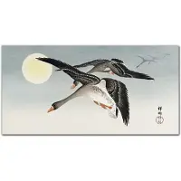 Tulup Canvas Doek Foto - Vogels in de lucht Canvas Foto - 100 cm x 50 cm - Veelkleurig Foto Op Canvas - Vintage Canvas Decoratie - Schilderij Op Canvas - Canvas Decoratie voor de Keuken