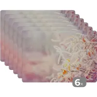 KitchenYeah Placemat - Placemats kunststof - Winter - Takken - Sneeuw - Natuur - 45x30 cm - 6 stuks - Hittebestendig - Anti-Slip - Onderlegger - Afneembaar