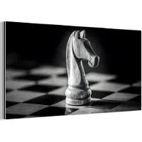 MuchoWow Aluminium schilderij 80x40 cm - Wanddecoratie metaal - Paard - Hout - Schaalbord - Zwart - Metalen muurdecoratie woonkamer - Decoratie industrieel - Foto op dibond - Industriële accessoires slaapkamer