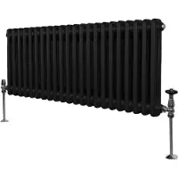 Monster Traditionele 2 Kolom Radiator - 300 x 1012mm - Zwart