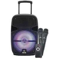 Coolsound A340 Versterker met luidspreker en 2 microfoons, paars, one size / EU-stekker, 220V, paars, one size