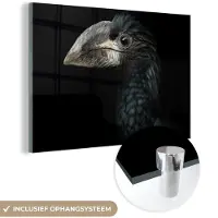 MuchoWow - Glasschilderij - Foto op glas - Acrylglas - Neushoornvogel - Dier - Snavel - Zwart wit - Vogel - 180x120 cm - Schilderij glas - Glasschilderij vogels - Glasschilderij zwart wit