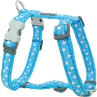 Red Dingo Style Star Hondenharnas