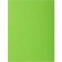 Exacompta ROCK''S 210 Pak van 100 dossiermappen 210g/m2 24x32cm voor A4. - Groen - 210013E