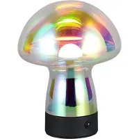 RL LIVE YOUR LIGHT REALITY DOOLEY - Tafellamp - Transparant iriserend - incl. 1x SMD 1,5 W - 4-stappen TOUCH - USB-aansluiting - Oplaadbaar - Snoerloos