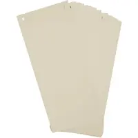Exacompta 12x FOREVER Pak van 100 horizontale tabstroken met perforatie 180g - 105x240mm - Ivoor - 13475B