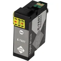 PrintAbout Inktcartridge T7607 Licht-zwart geschikt voor Epson