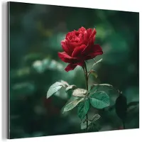 MuchoWow Aluminium schilderij 40x30 cm - Wanddecoratie metaal - Roos - Bladeren - Dieprood - Metalen muurdecoratie woonkamer - Decoratie industrieel - Foto op dibond - Industriële accessoires slaapkamer