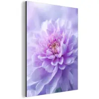 MuchoWow Aluminium schilderij 120x160 cm - Wanddecoratie metaal - Paars - Dahlia - Dromerig - Metalen muurdecoratie woonkamer - Decoratie industrieel - Foto op dibond - Industriële accessoires slaapkamer