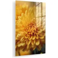 MuchoWow Glasschilderij 120x180 cm - Schilderij acrylglas - Geel - Chrysant - Zachtheid - Foto op glas - Muurdecoratie woonkamer - Wanddecoratie slaapkamer - Schilderijen