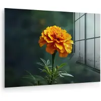 MuchoWow Glasschilderij 180x120 cm - Schilderij acrylglas - Bloemblaadjes - Afrikaan - Oranje - Wazig - Foto op glas - Muurdecoratie woonkamer - Wanddecoratie slaapkamer - Schilderijen