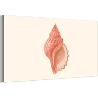 MuchoWow Aluminium schilderij 80x40 cm - Wanddecoratie metaal - Schelp - Roze - Structuur - Metalen muurdecoratie woonkamer - Decoratie industrieel - Foto op dibond - Industriële accessoires slaapkamer