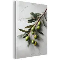 MuchoWow Aluminium schilderij 60x80 cm - Wanddecoratie metaal - Olijventak - Beton - Mediterraan - Metalen muurdecoratie woonkamer - Decoratie industrieel - Foto op dibond - Industriële accessoires slaapkamer