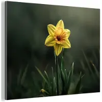 MuchoWow Aluminium schilderij 80x60 cm - Wanddecoratie metaal - Bloem - Narcis - Gras - Geel - Metalen muurdecoratie woonkamer - Decoratie industrieel - Foto op dibond - Industriële accessoires slaapkamer