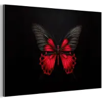 MuchoWow Aluminium schilderij 150x100 cm - Wanddecoratie metaal - Vlinder - Rood - Contrast - Metalen muurdecoratie woonkamer - Decoratie industrieel - Foto op dibond - Industriële accessoires slaapkamer