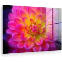 MuchoWow Glasschilderij 180x120 cm - Schilderij acrylglas - Roze - Dahlia - Kleurrijk - Foto op glas - Muurdecoratie woonkamer - Wanddecoratie slaapkamer - Schilderijen