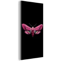 MuchoWow Aluminium schilderij 20x40 cm - Wanddecoratie metaal - Vlinder - Roze - Nachtvlinder - Metalen muurdecoratie woonkamer - Decoratie industrieel - Foto op dibond - Industriële accessoires slaapkamer