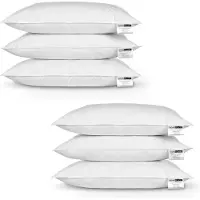 Homescapes - Set van 6 hoofdkussens 50x75 cm - veren kussens met 100% veren vulling