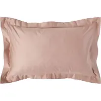 Homescapes Luxe Satijn Kussensloop 50x75 cm met Sierrand – Beige – 100% Egyptisch Katoen – Draaddichtheid 1000