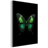 MuchoWow Aluminium schilderij 30x40 cm - Wanddecoratie metaal - Vlinder - Groen - Opvallend - Metalen muurdecoratie woonkamer - Decoratie industrieel - Foto op dibond - Industriële accessoires slaapkamer