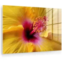 MuchoWow Glasschilderij 180x120 cm - Schilderij acrylglas - Geel - Hibiscus - Tropisch - Foto op glas - Muurdecoratie woonkamer - Wanddecoratie slaapkamer - Schilderijen