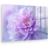 MuchoWow Glasschilderij 180x120 cm - Schilderij acrylglas - Paars - Dahlia - Dromerig - Foto op glas - Muurdecoratie woonkamer - Wanddecoratie slaapkamer - Schilderijen