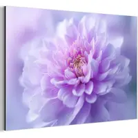MuchoWow Aluminium schilderij 60x40 cm - Wanddecoratie metaal - Paars - Dahlia - Dromerig - Metalen muurdecoratie woonkamer - Decoratie industrieel - Foto op dibond - Industriële accessoires slaapkamer