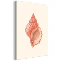 MuchoWow Aluminium schilderij 120x160 cm - Wanddecoratie metaal - Schelp - Roze - Structuur - Metalen muurdecoratie woonkamer - Decoratie industrieel - Foto op dibond - Industriële accessoires slaapkamer