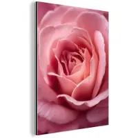 MuchoWow Aluminium schilderij 120x160 cm - Wanddecoratie metaal - Roze - Roos - Romantisch - Metalen muurdecoratie woonkamer - Decoratie industrieel - Foto op dibond - Industriële accessoires slaapkamer
