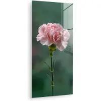 MuchoWow Glasschilderij 40x80 cm - Schilderij acrylglas - Anjer - Roze - Bloemblaadjes - Foto op glas - Muurdecoratie woonkamer - Wanddecoratie slaapkamer - Schilderijen