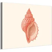 MuchoWow Aluminium schilderij 60x40 cm - Wanddecoratie metaal - Schelp - Roze - Structuur - Metalen muurdecoratie woonkamer - Decoratie industrieel - Foto op dibond - Industriële accessoires slaapkamer